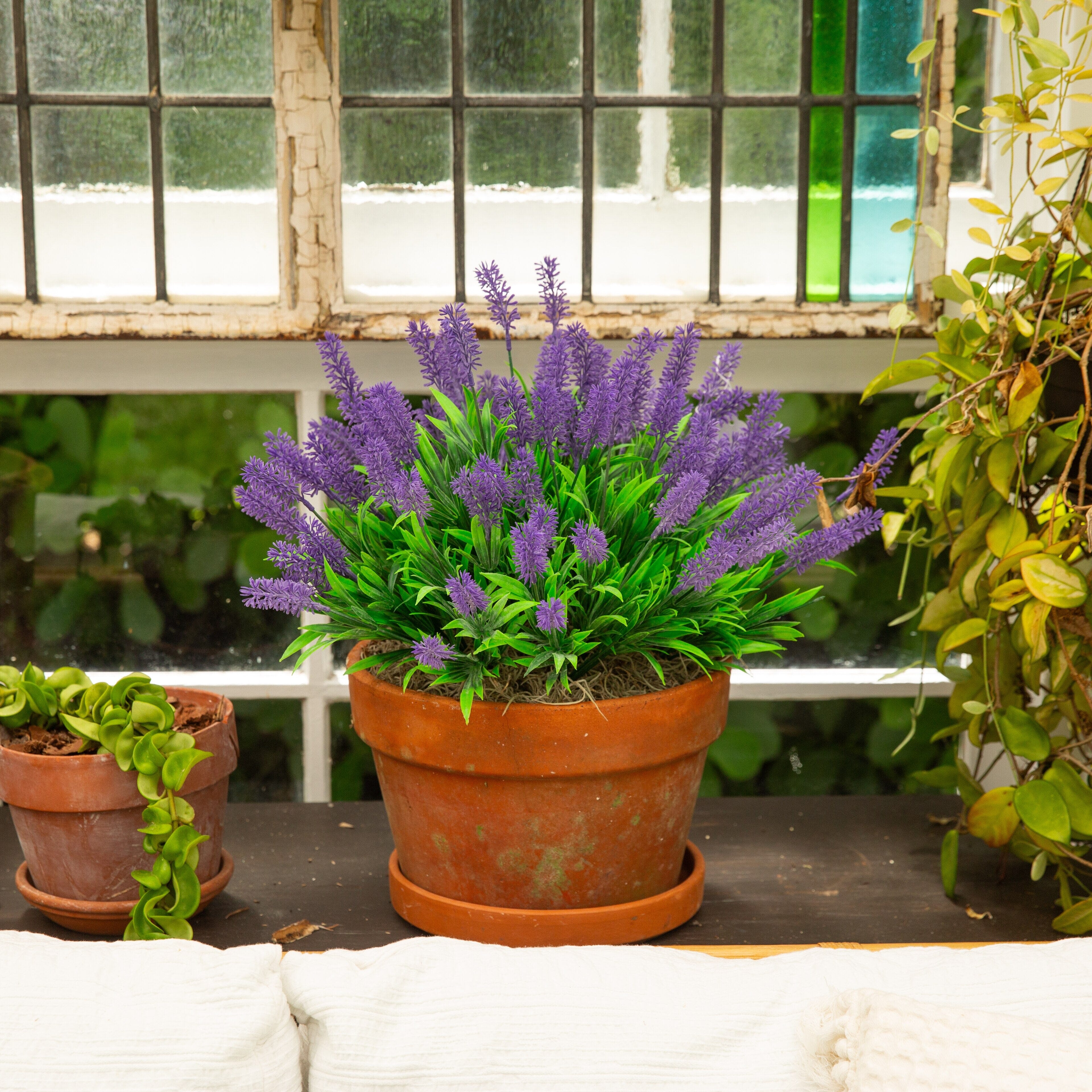 All Best Selling Products | Fake Plants