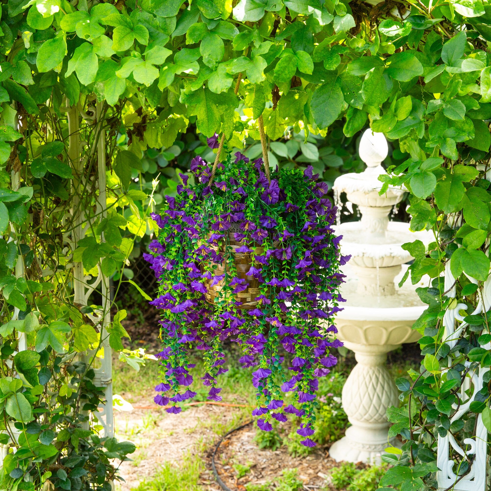 Product image 56