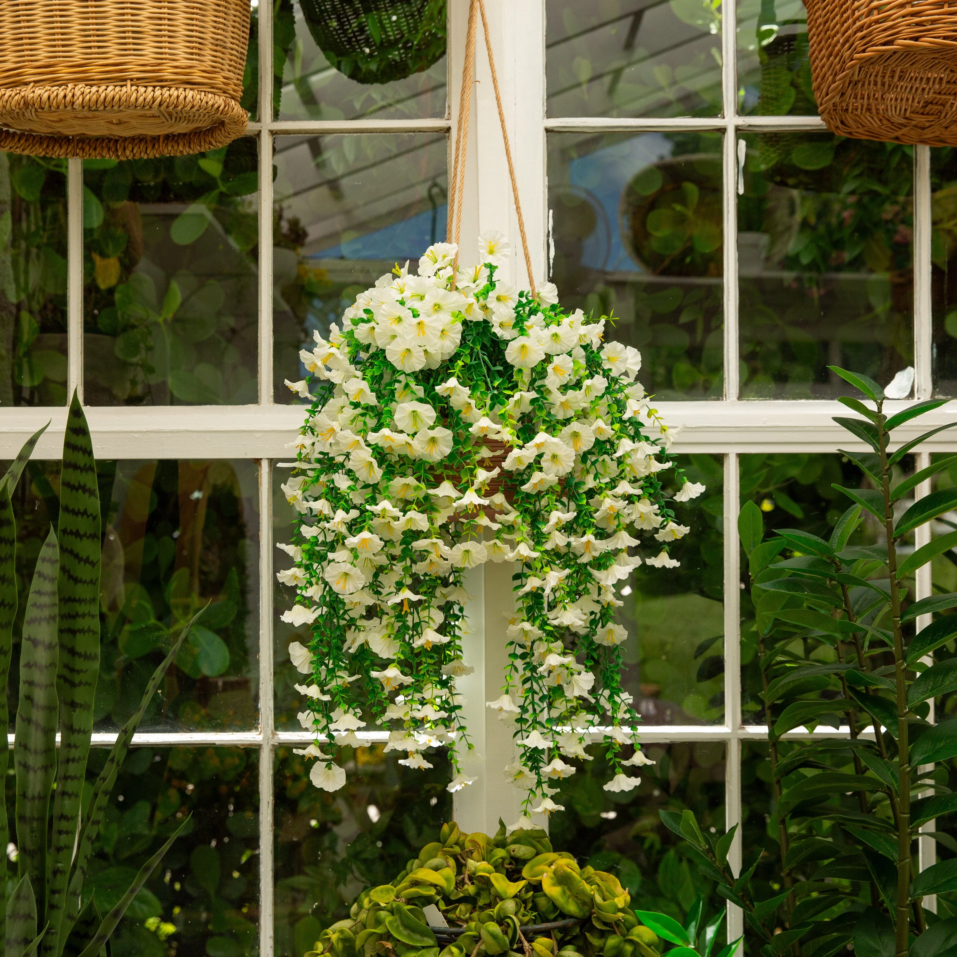 Product image 77